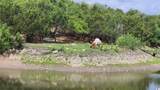 110 Longhorn Ln - Photo 28