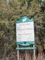 1017 Montell Rd - Photo 8