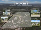 910 Plant Lady Ln - Photo 2