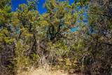 0 Pedernales Hills Rd - Photo 20