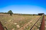 935 Highway 21 E - Photo 10