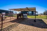 935 Highway 21 E - Photo 4