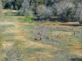 2313 Us Highway 79 - Photo 28