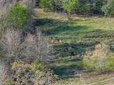 2313 Us Highway 79 - Photo 29