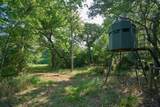 2313 Us Highway 79 - Photo 33