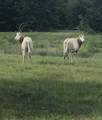 2313 Us Highway 79 - Photo 34
