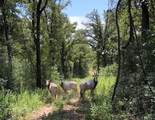 2313 Us Highway 79 - Photo 35