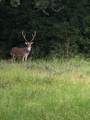 2313 Us Highway 79 - Photo 38