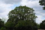 446 Herron Trl - Photo 27