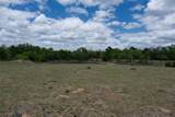 446 Herron Trl - Photo 6