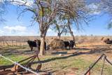 19700 Engelmann Ln - Photo 27