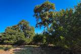 Lot 380 Calvin Barrett Rd - Photo 7
