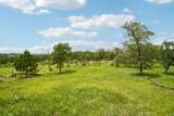 1213 Park Road 1C - Photo 6