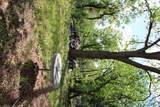 3017 Lyons Rd - Photo 4
