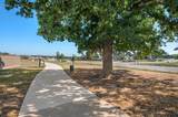 307 Chisholm Trl - Photo 35