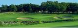 15433 Whistling Straits Dr - Photo 35