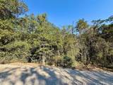 TBD Lot 1233 Hanauma Dr - Photo 1