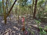TBD Lot 1233 Hanauma Dr - Photo 16
