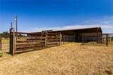12350 Hwy 16 Highway - Photo 17