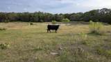 TBD County Road 105 - Photo 3