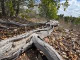 TBD Hudson Rd - Photo 8