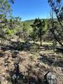 7921 Folklore Cir - Photo 1