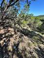 7921 Folklore Cir - Photo 2