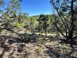 7921 Folklore Cir - Photo 5