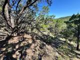 7921 Folklore Cir - Photo 6