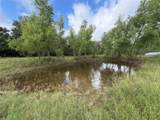 437 Balch Rd - Photo 35