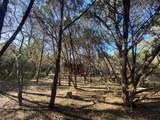 1850 Rainbow Ranch Rd - Photo 21