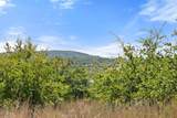 Tract 2 of 5818 Ranch Road 165 - Photo 18