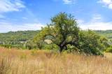 Tract 2 of 5818 Ranch Road 165 - Photo 20