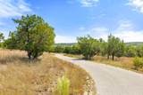 Tract 2 of 5818 Ranch Road 165 - Photo 28