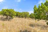 Tract 2 of 5818 Ranch Road 165 - Photo 29