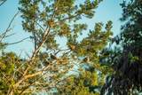 00 F-M 2843 - Photo 16