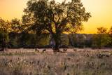 00 F-M 2843 - Photo 4