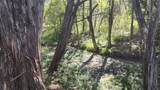25615 Ronald W Reagan Blvd - Photo 6