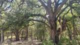 25615 Ronald W Reagan Blvd - Photo 9
