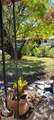 1524 Weyford Dr - Photo 35
