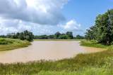 4046 State Highway 21 - Photo 10