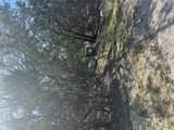 2503 Thurber Ln - Photo 6