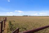 19919 Fm 973 Rd - Photo 9