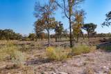 9200 Lockwood Springs Rd - Photo 5