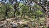 410 Owl Hollow Rd - Photo 1