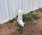 1113 County Road 118 - Photo 6
