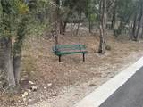13100 Fitzhugh Rd - Photo 8