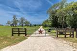 605 Fm 1682 - Photo 33