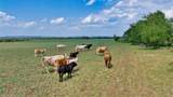 2700 County Road 245 - Photo 7