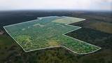 2700 County Road 245 - Photo 9